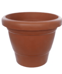 Flower Pot